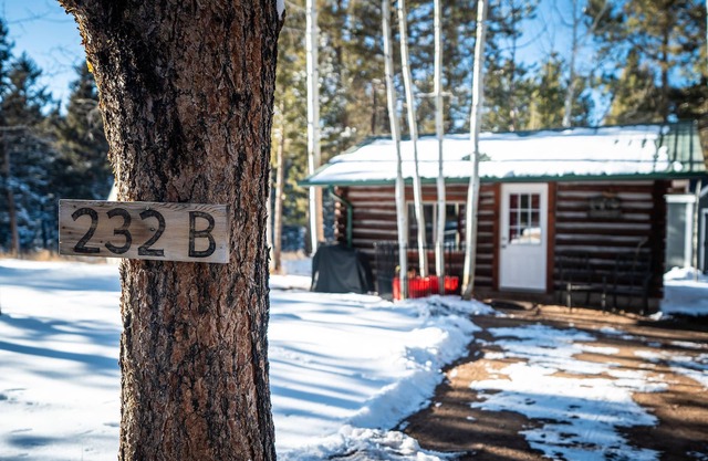 Best L'il Bunkhouse on 40 Wooded Acres