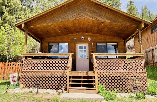 Bethany's Vallecito Lake Cabin #1