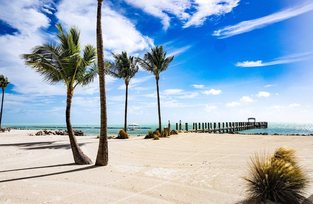 Better Choice for your Vacation! 2 Comfortable Units, Beachfront, Outdoor Pool