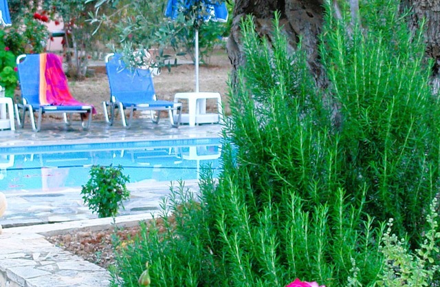 BH032 - R - Villa Rethmyno 18paxn
