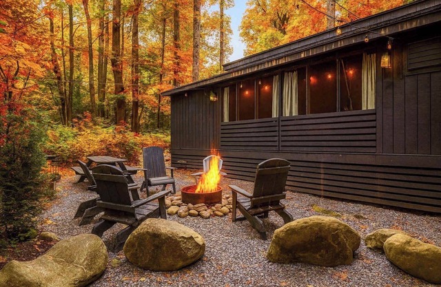 Black Bear Getaway Fire Pit & Hot Tub