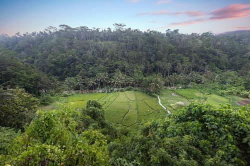 Black Penny Villas Ubud