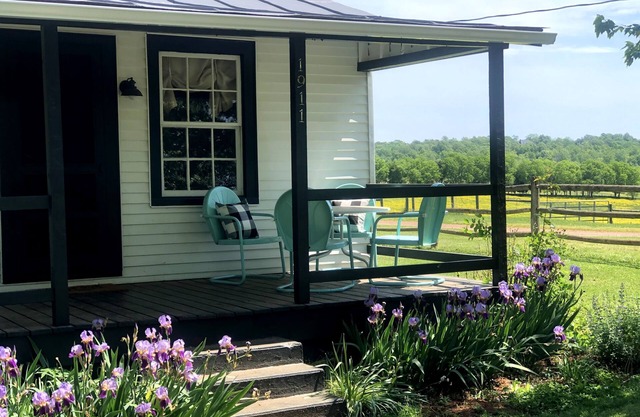 Bloomingdale Honeymoon Cabin Vintage Retreat with Mountain Views