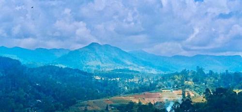 Blue mountain view resort