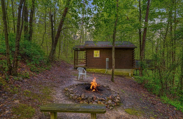 Blue Rose Cabins - Wildwood Cabin