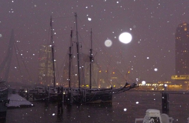 Boat in the heart of Rotterdam