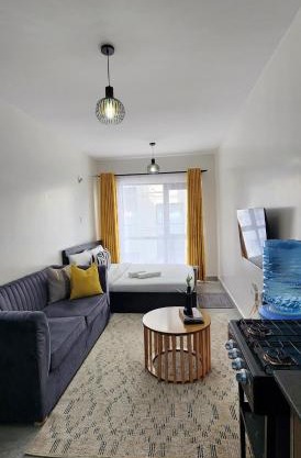 Bobo's Spacious Studio Apartment