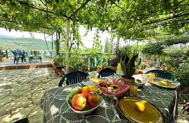 Boungainvillea