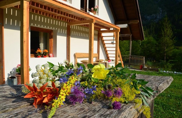 Bovec Home At Three Samoyeds