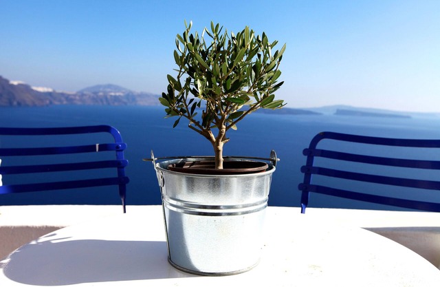 Breathtaking Caldera View, Great Comfort, Romantic And Fully Revamped.