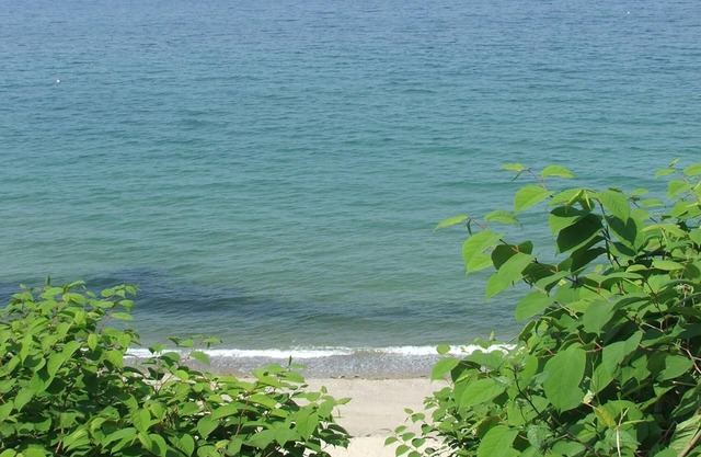 Breathtaking views of Cape Cod Bay/PTown, High on Manomet Bluffs