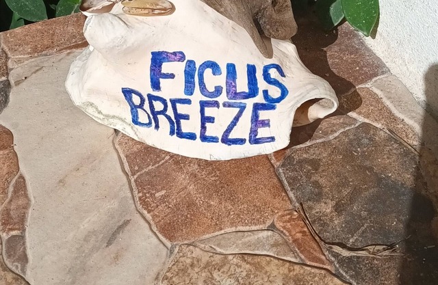 Breezey Get-Away near to beach and park. Ask us about meal prep and delivery.