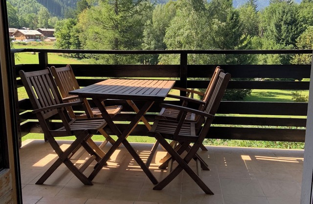 Bright, comfortable apartment with large balcony and Mont Blanc view