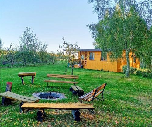 BRZOZOWY GAJ AGROTURYSTYKA