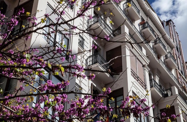 BUBUFLATS Ayuntamiento