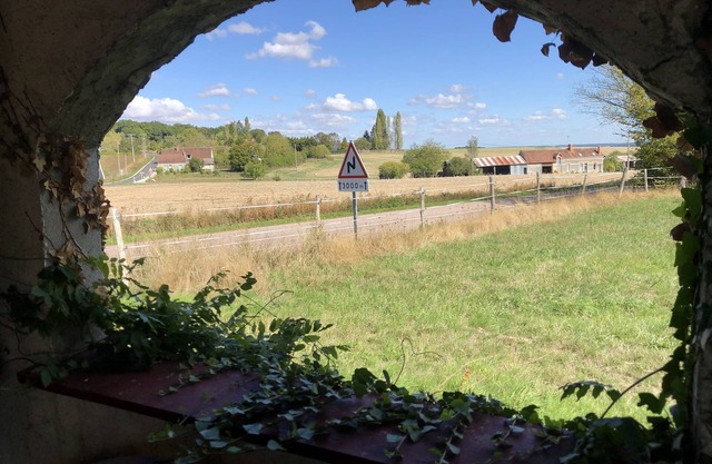 Bucolic cottage