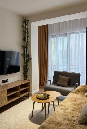 Buffalo Apartment