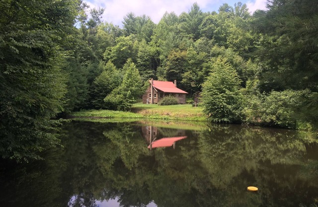 Buffalo Hollow Preserve & Cabin in the Blue Ridge MountainsnPet Friendly