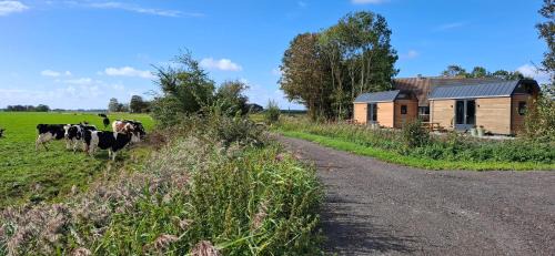Buorkerijhûskes