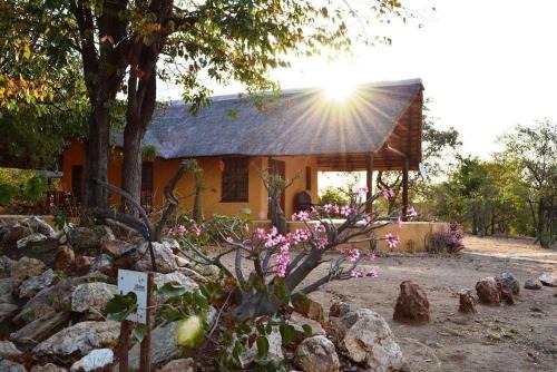 Bushvilla's Silonque