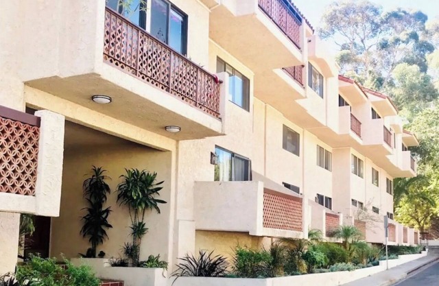 C53: Bahia Vista Stylish Condo, A/C, Newly Remodeled, King Bed, WIFI, and BBQ