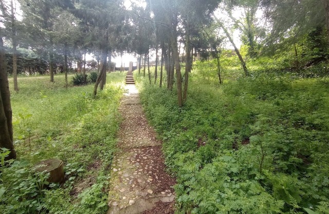 CABAÑA RURAL