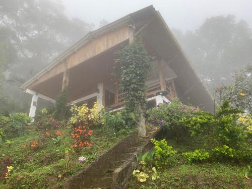 Cabaña Guarumo de la Sierra - Minca