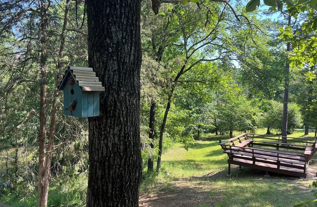 Cabin #18 Hillside Hideaway, small dog, 45 lb or under with 99 fee. Great View