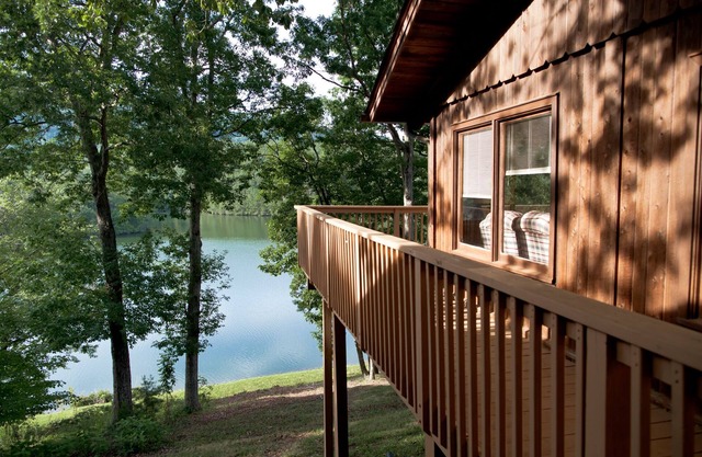 Cabin#3 Smith Mtn Lake. Views/Waterfront/Pet Free/No wake cove/Dock