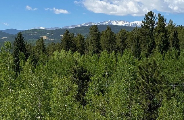 Cabin at Pickle Gulch- a charming cabin with mountain views.