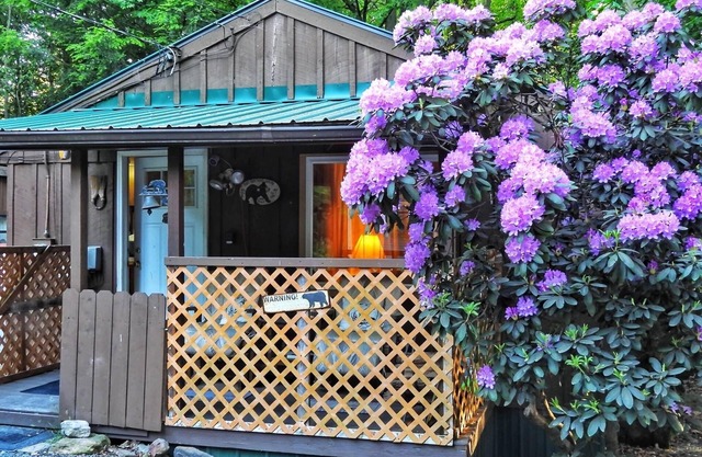 Cabin close to Ricketts Glen and State Parks!