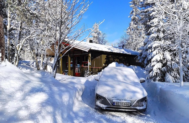 Cabin in central Trysilfjellet
