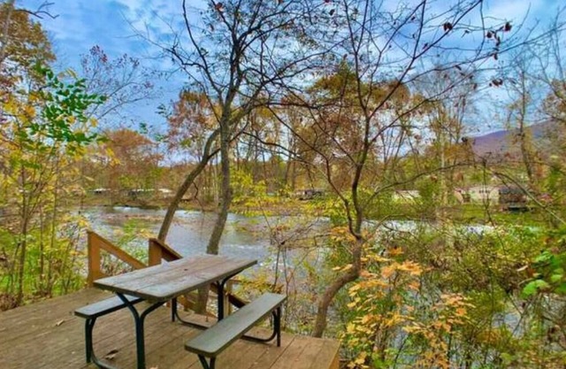 Cabin on the Jackson River with dock, deck, firepit and sauna. Pet friendly!