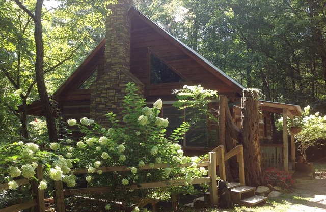 Cabin on White Water Toccoa River!