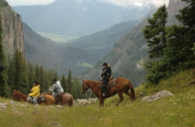 Cabin or Guest Loft & Cabin -Southern CO Paradise -Escape the Crowds!