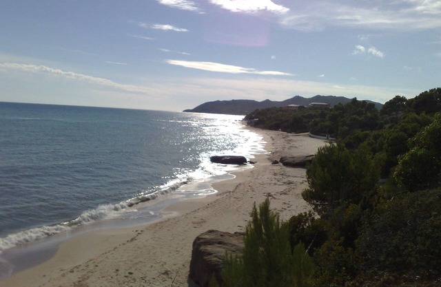 Calaverde -Villetta with garden a stone's throw from the sea surrounded by green pine forest