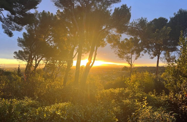 Californian-style house in the pines at Villeneuve Les Avignon