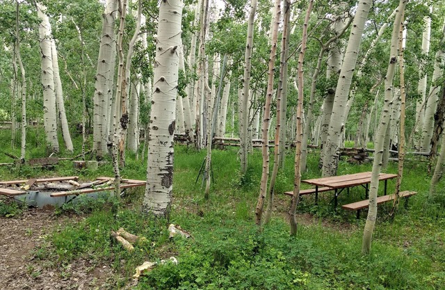 Camp Jackson Pavilion & Cabins