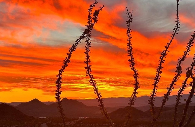 Camp on a volcanic hill, 10 mins to Big Bend and 15 mins to Terlingua Ghost Town