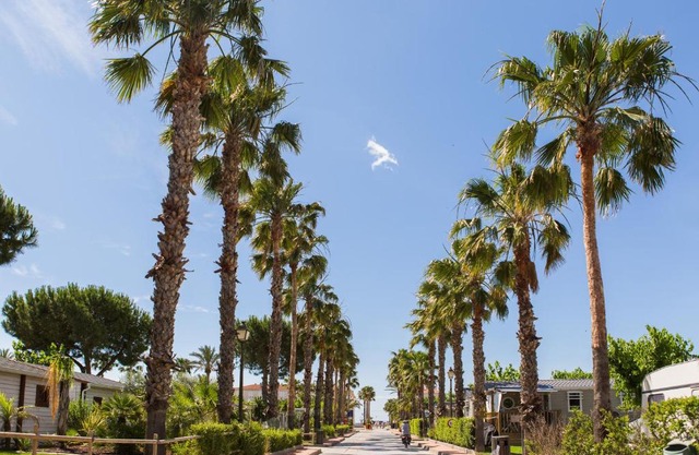 Camping Estival Vendrell Platja