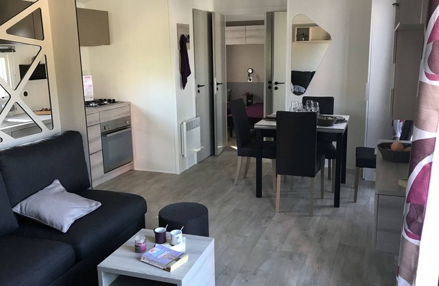 Camping la Pignade **** New luxury mobile home with air conditioning and terrace