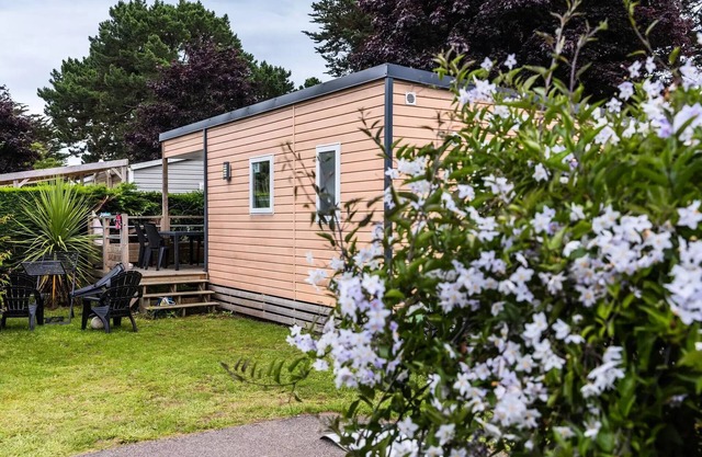 Camping Les Menhirs * - Mobile home Premium 3 rooms 4 people air-conditioned - TV