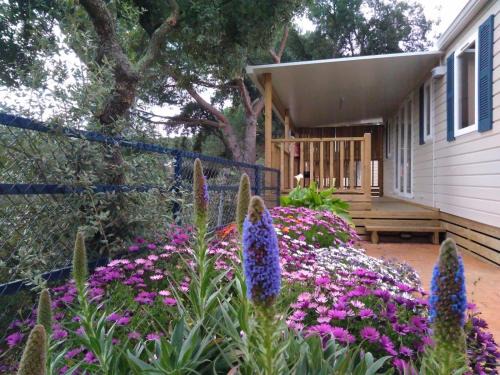 Camping Roca Grossa