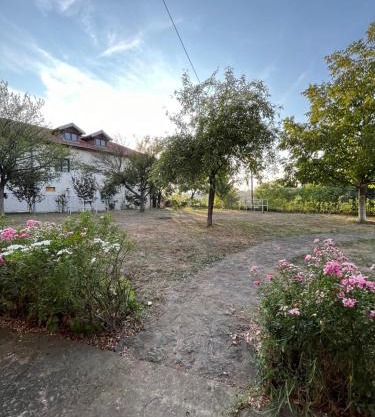 Camping Serbia - Belgrade