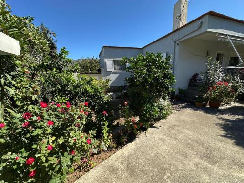 Canka Guest House