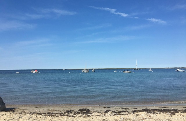 Cape Cod Charm in Naushop w/ pool, tennis courts, outdoor shower and nice yard
