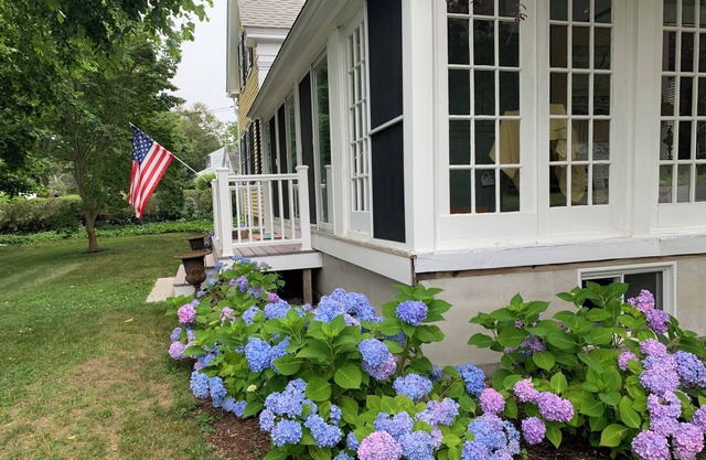 Captain Ellis Antique Home in Harwich Port, Cape Cod, MA - 1 Room Rental