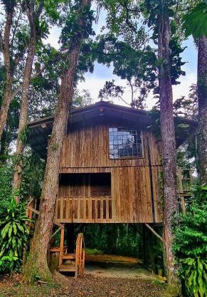 Casa da Árvore - Jussara Cultural