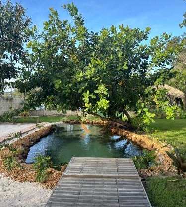 Casa do Lago em Alter do Chão