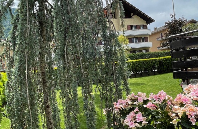 Casa Dolce Casa